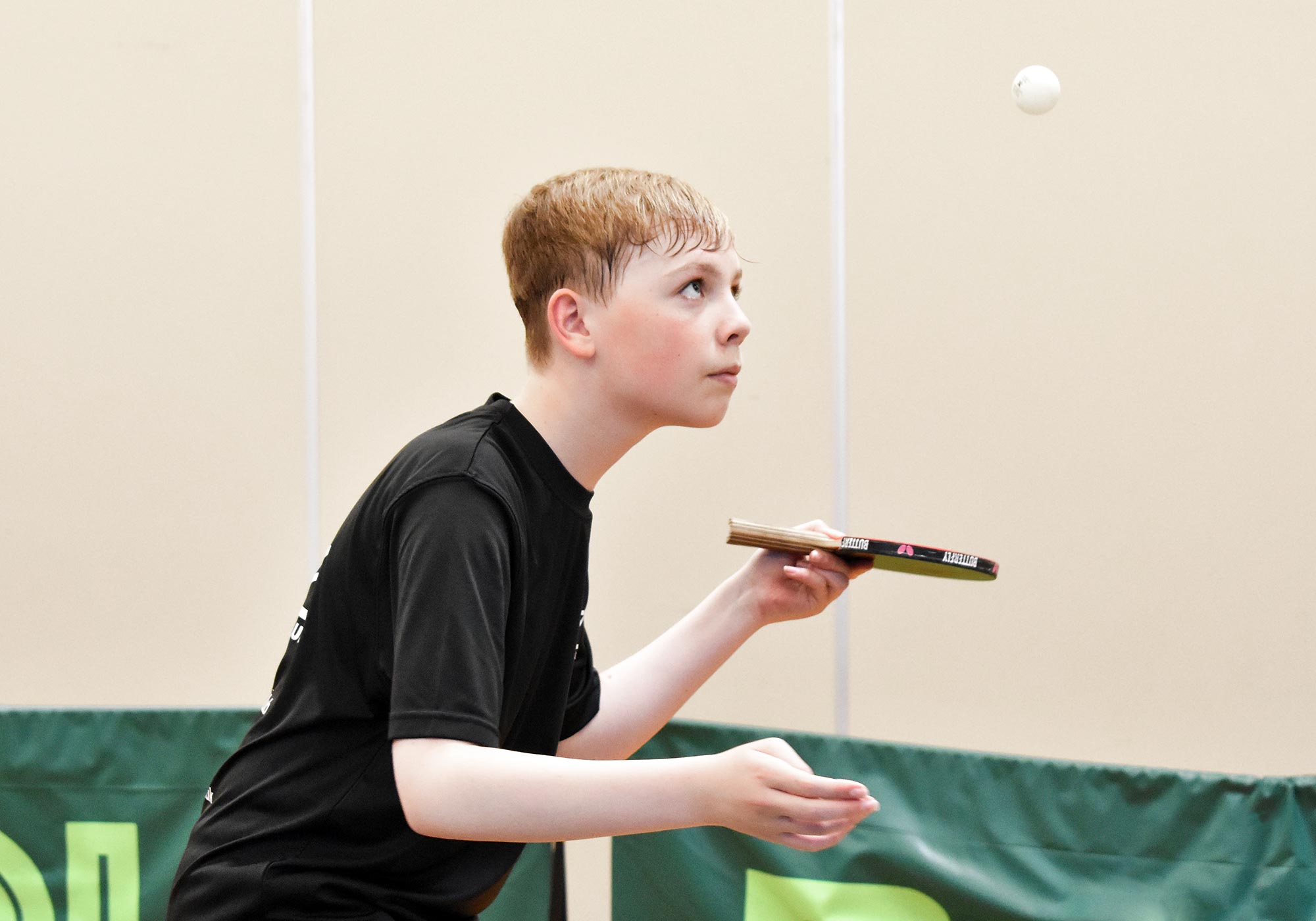 Battleback and History