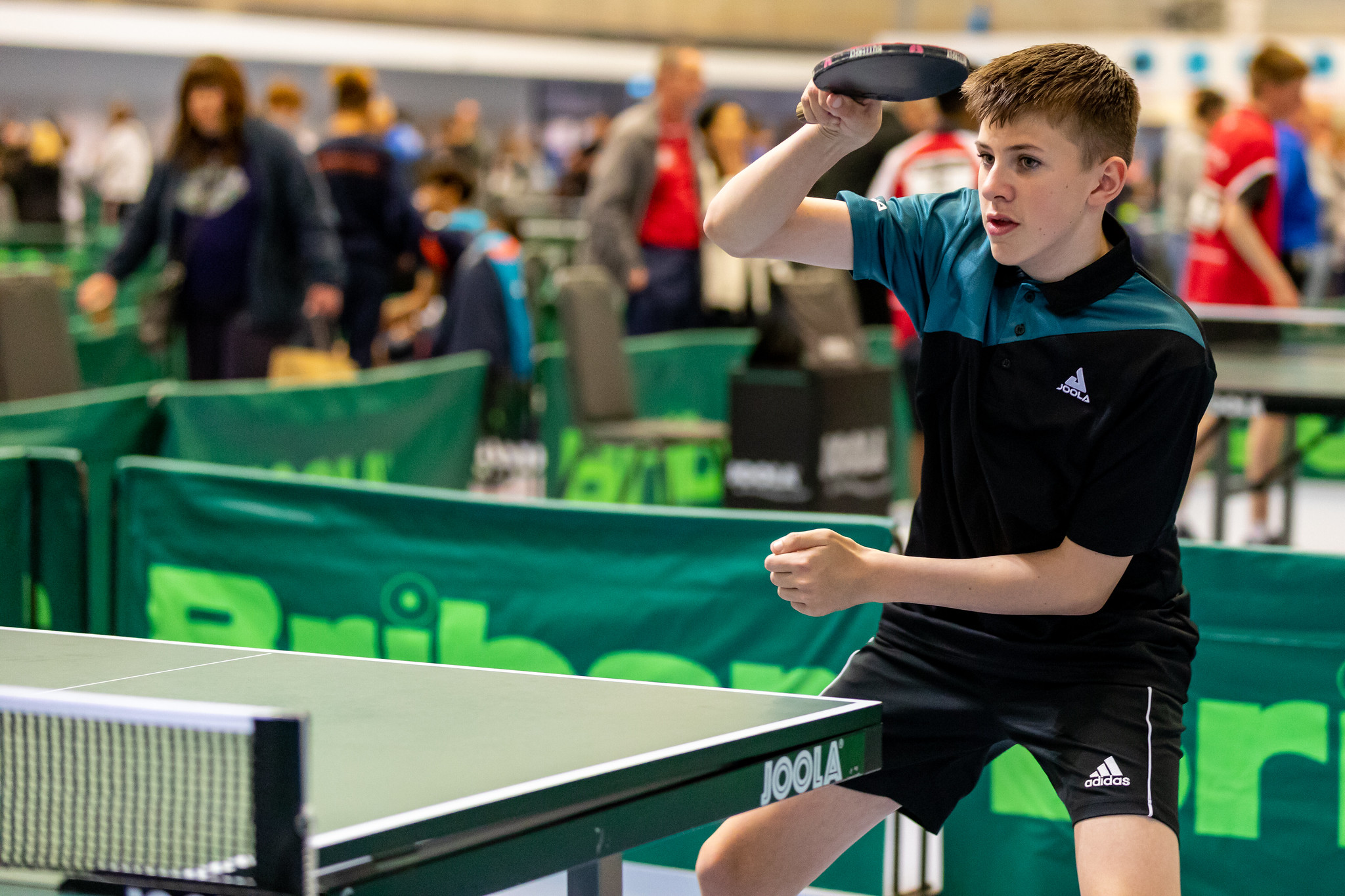 Battleback and History