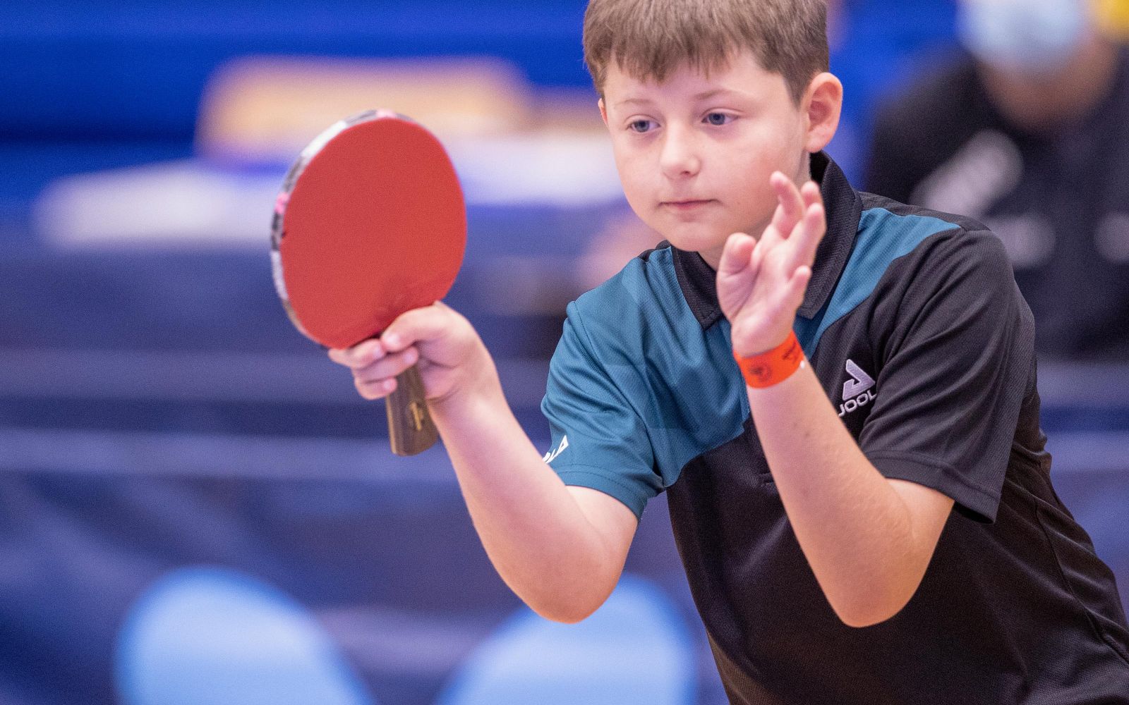 Battleback and History