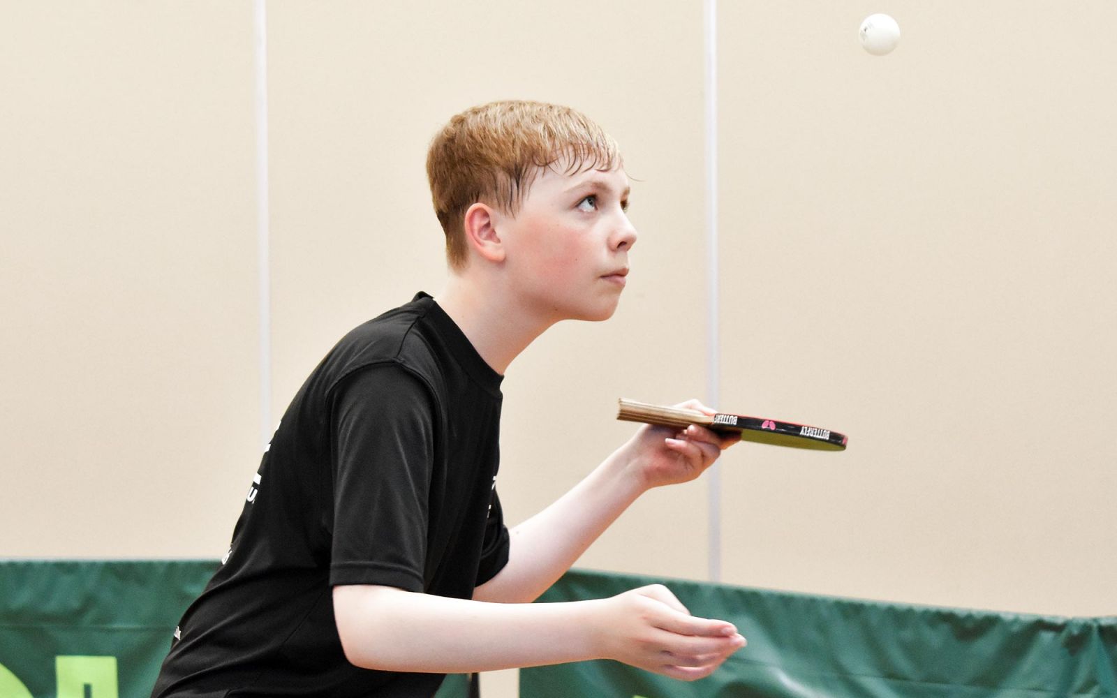 Battleback and History