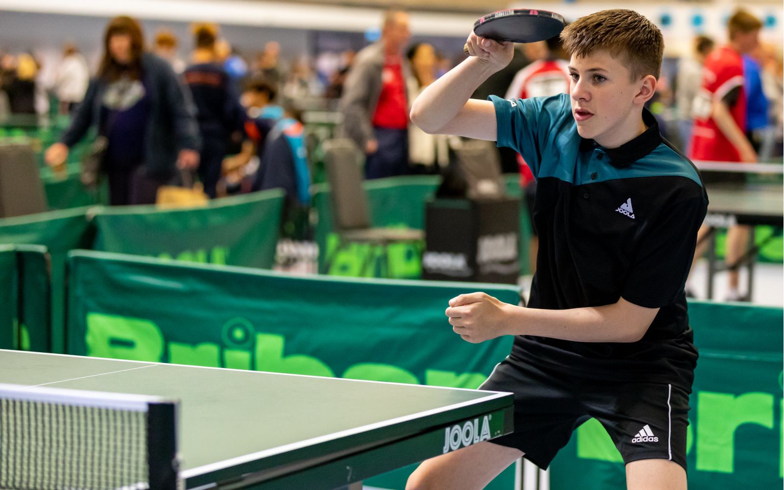 Battleback and History