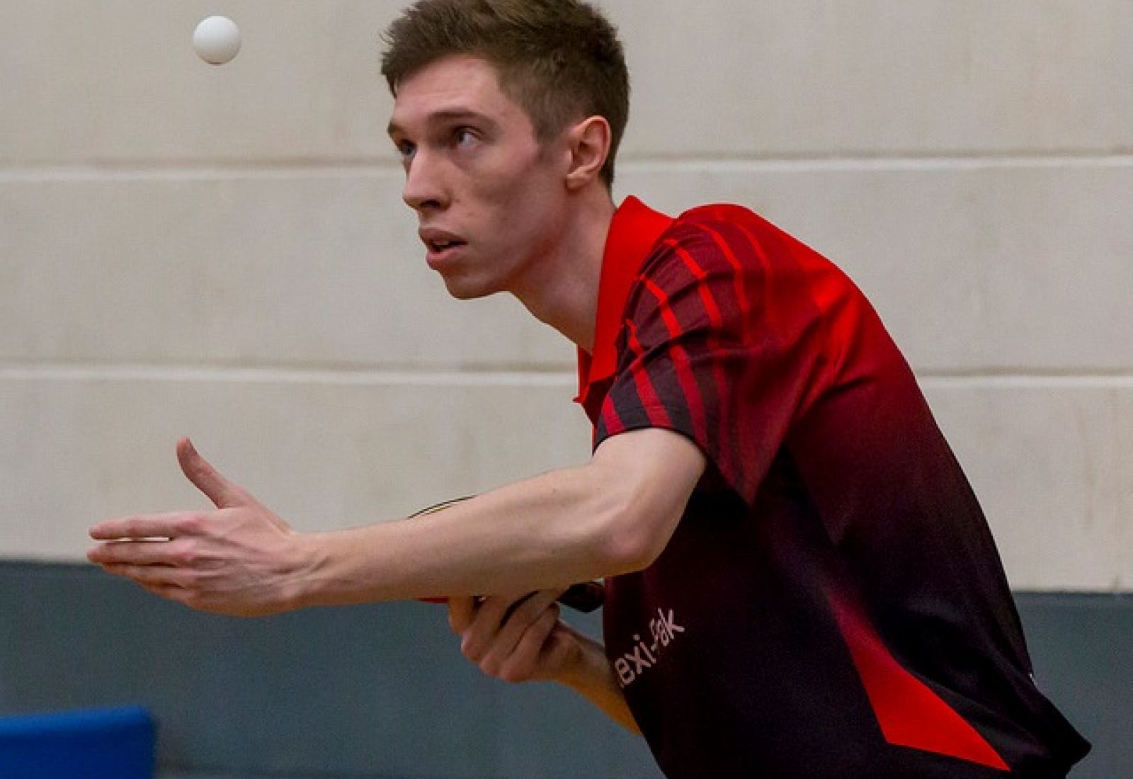 Battleback and History