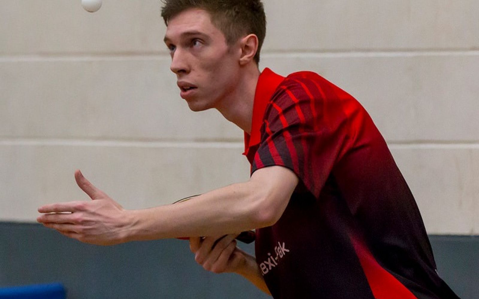 Battleback and History