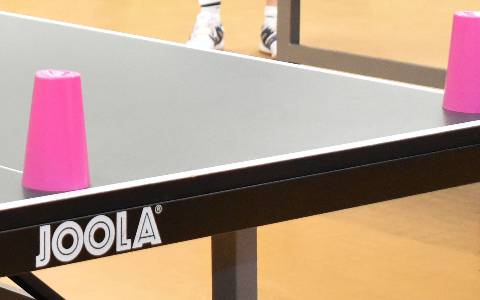 Table Tennis Table and Barrier Sponsorship
