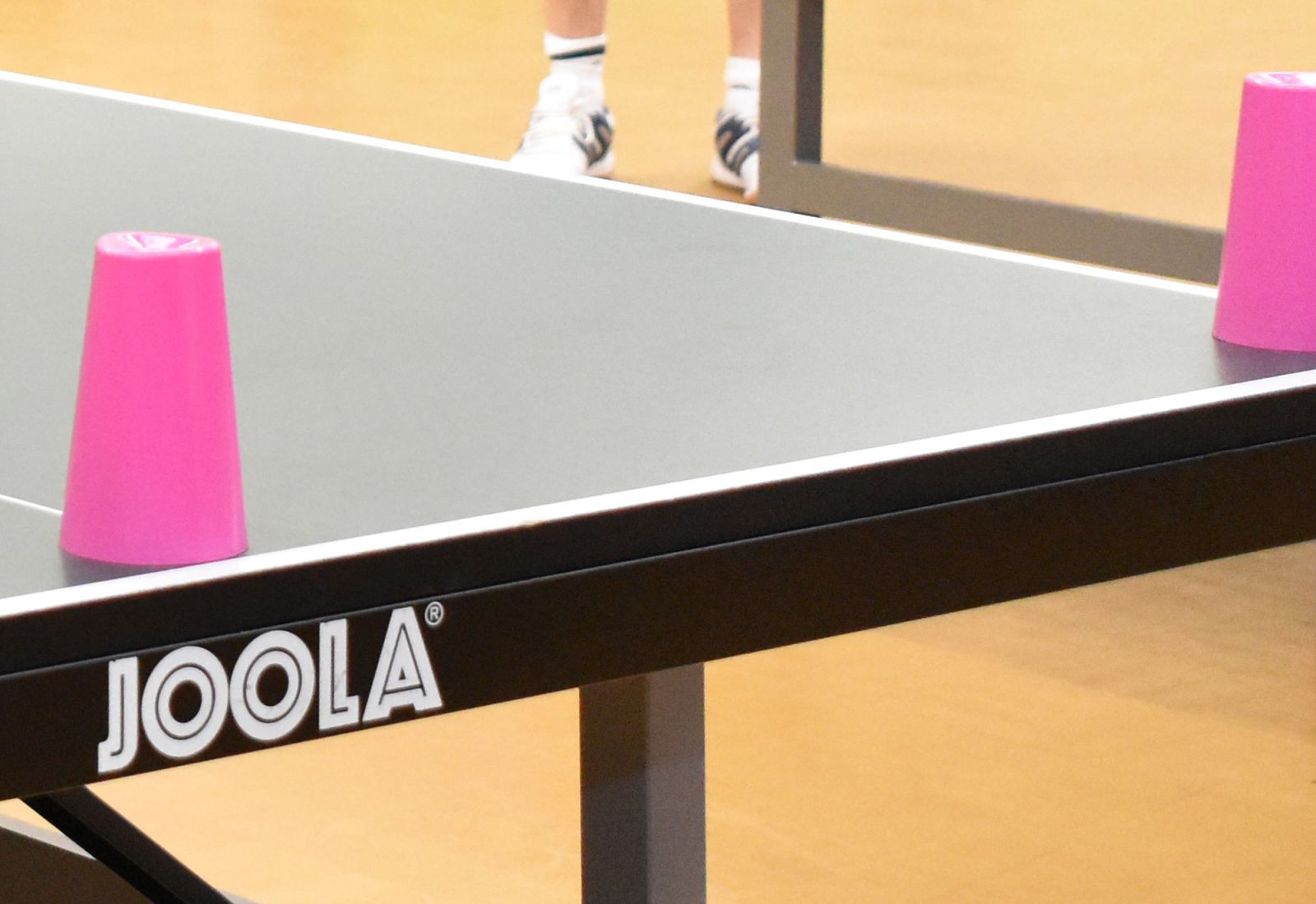 Beginner Table Tennis Sessions