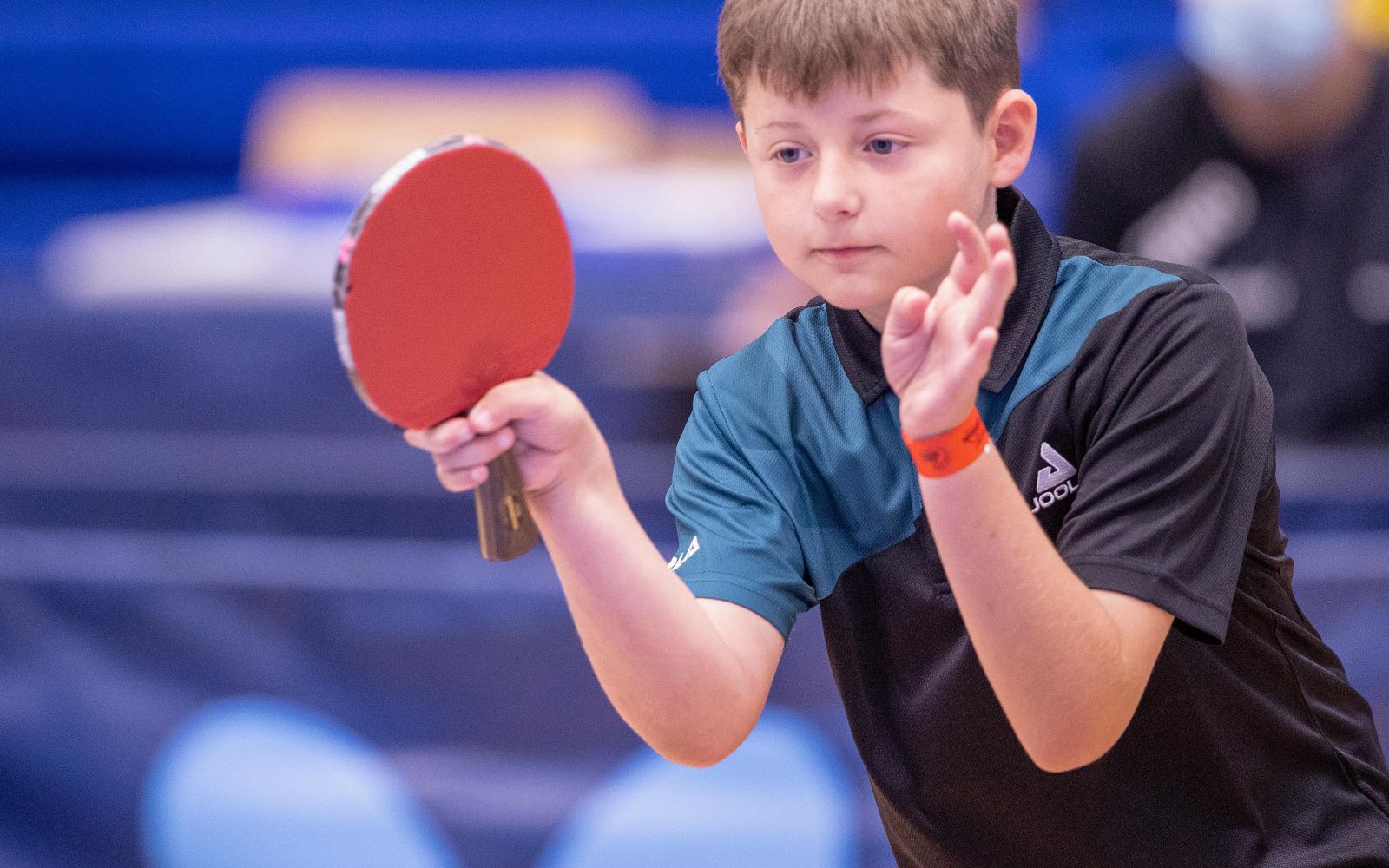 Battleback and History